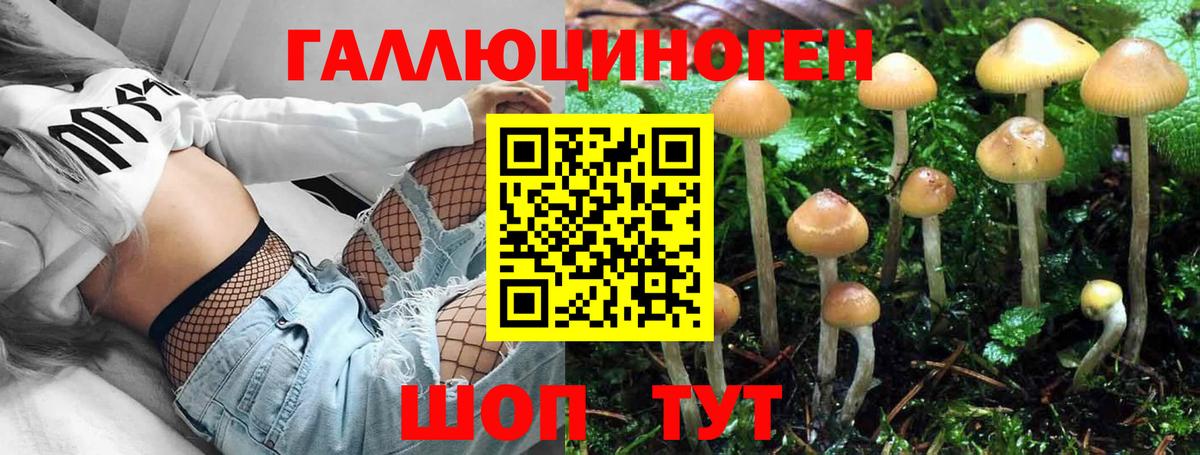Меф мяу мяу Ишим