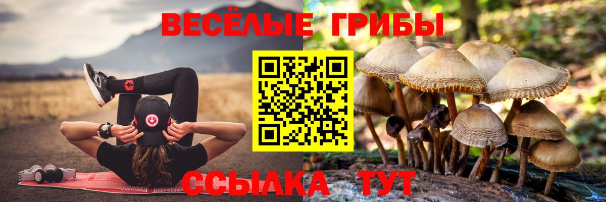 Псилоцибиновые грибы Cubensis  Псилоцибиновые грибы GOLDEN TEACHER  Вход с VPN  Ишим 