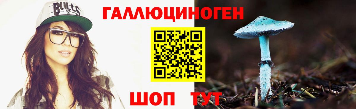 Галлюциногенные грибы Psilocybine cubensis Ишим